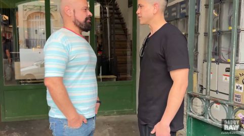 Photo of Constanzo Breeds a Jock